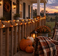 Fall Harvest Plug-In String Lights, 24 ft