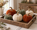 Velvet Pumpkin Set of 6, Cream, Rust & Sage