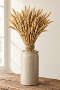 Dried Wheat Bundle Stems